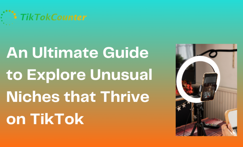 An Ultimate Guide to Explore Unusual Niches that Thrive on TikTok