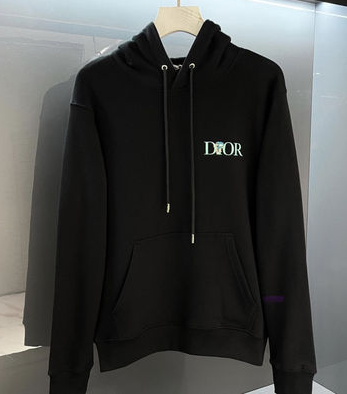 Dior Hoodie Brands