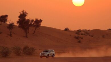 Evening Desert Safari Dubai