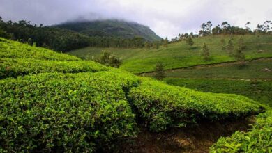 cultural heritage of Kerala