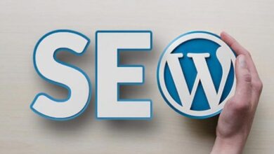 wordpress seo services