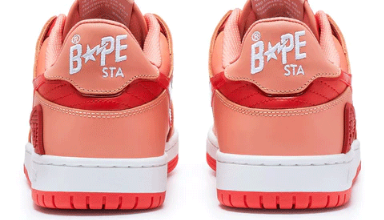 BAPESTA Culture Design