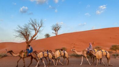 Morning Desert Safari Dubai