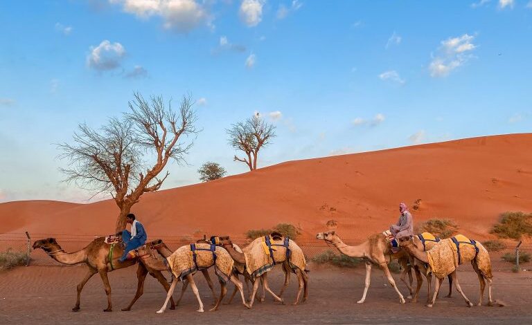 Morning Desert Safari Dubai