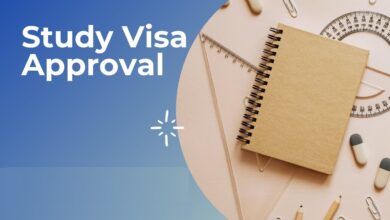 Top Actions That Promote The Study Visa Approval Chances 